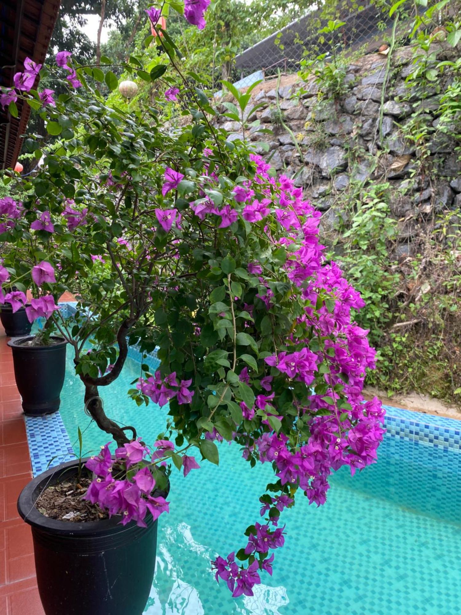 Sunshine Villa Thuy Bieu Hue Exterior foto